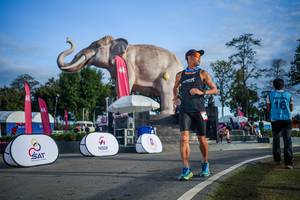 BIB: 
                            <button type="button" onclick="openModal(26542030)" class="btn btn-primary btn-sm float-right btn-popup" data-toggle="modal" data-target=".modal-high-quality">
                        <i class="fas fa-shopping-cart"></i> Add to Cart
                    </button>
                                            <button type="button" onclick="isThisMe(26542030, true)" class="btn btn-success btn-sm float-right btn-popup btn-isme hidden" data-toggle="tooltip" data-placement="bottom" title="นี่คือรูปของคุณใช่ไหม คลิกที่นี่เพื่อเอาเข้าอัลบั้ม">
                        <i class="fas fa-plus"></i> Add to album
                    </button>
                    <button type="button" onclick="isThisMe(26542030, false)" class="btn btn-warning btn-sm float-right btn-popup btn-isnotme hidden">
                        <i class="fas fa-ban"></i> Remove from album
                    </button>